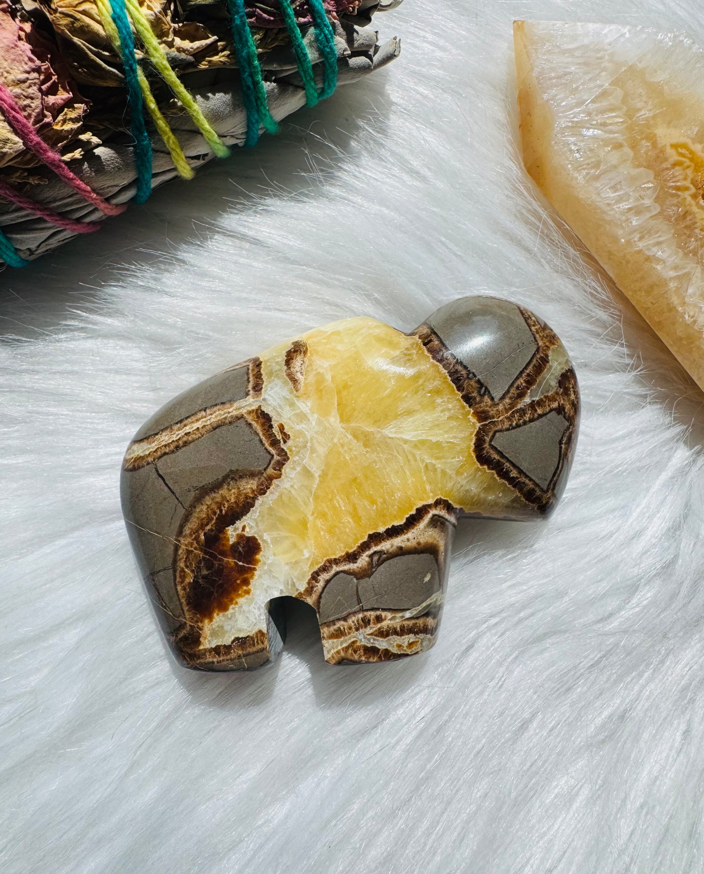 Septarian Stone Bison