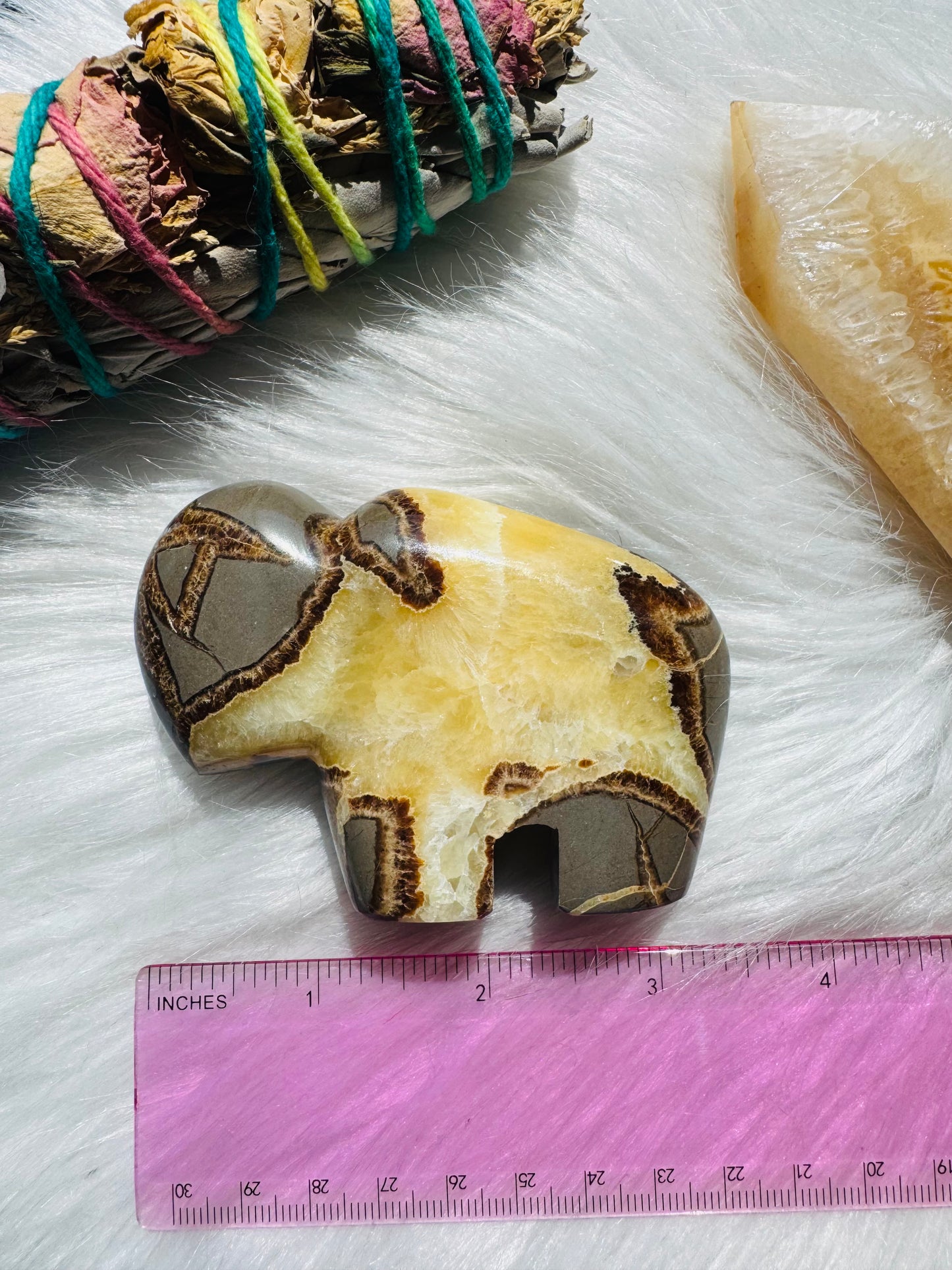 Septarian Stone Bison