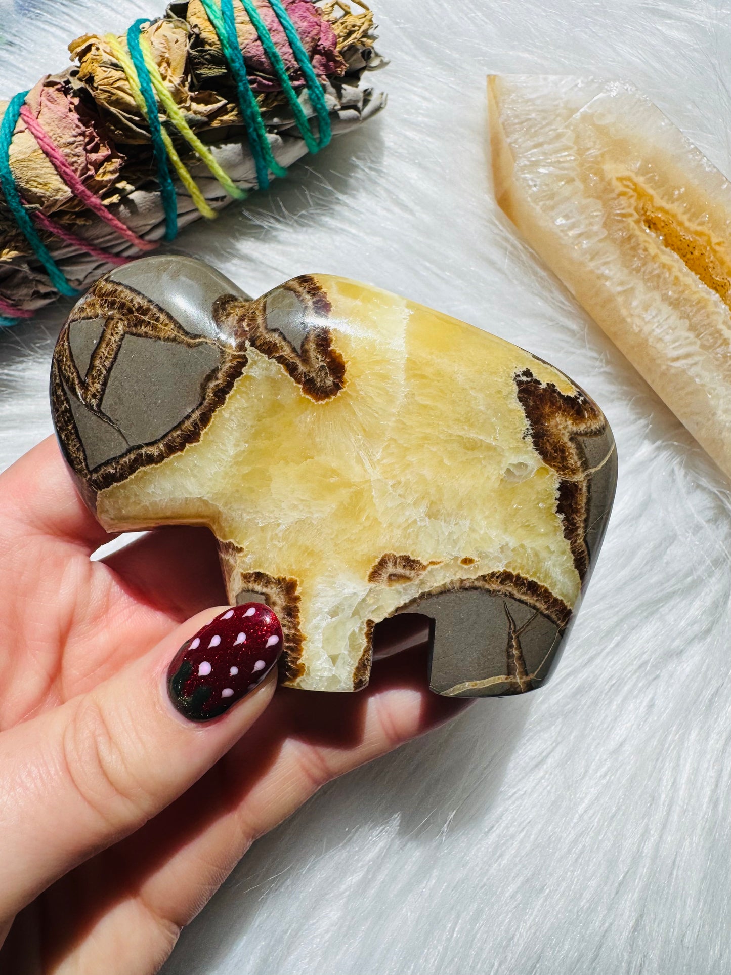 Septarian Stone Bison