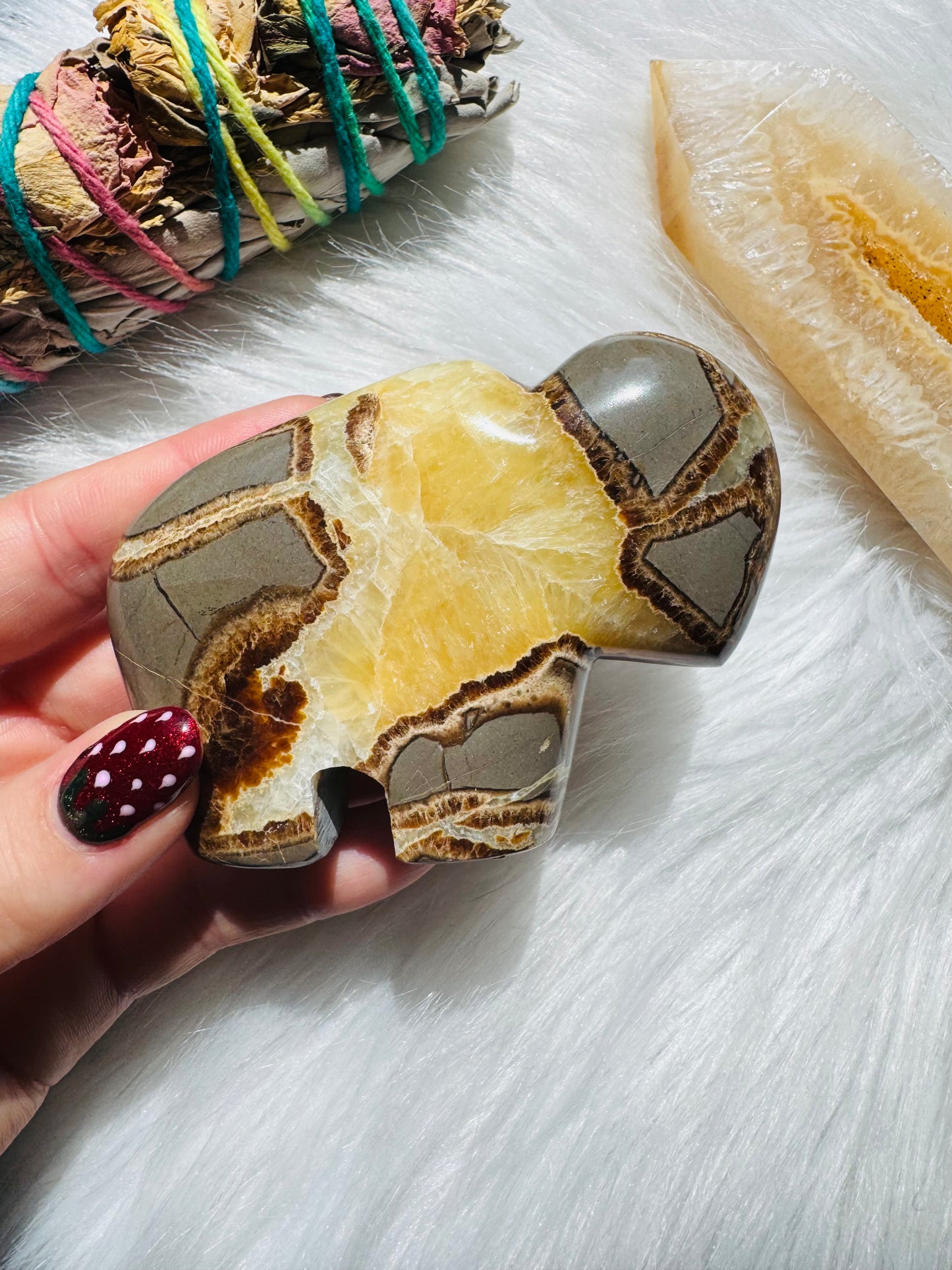 Septarian Stone Bison