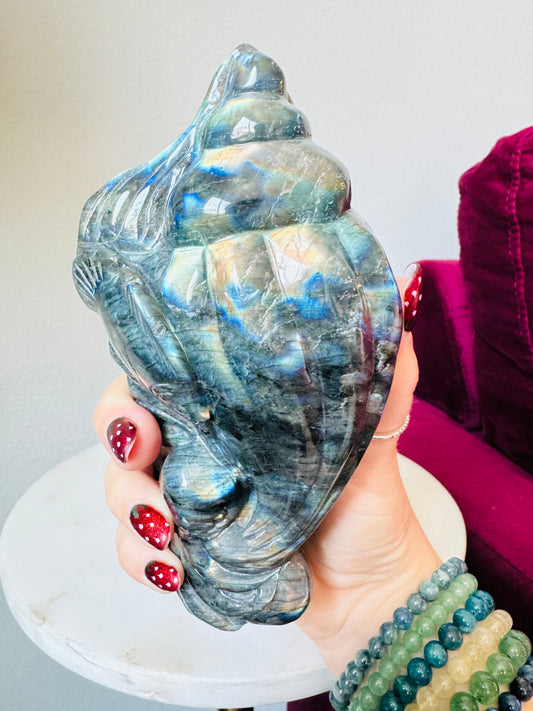 Labradorite Ocean Treasure